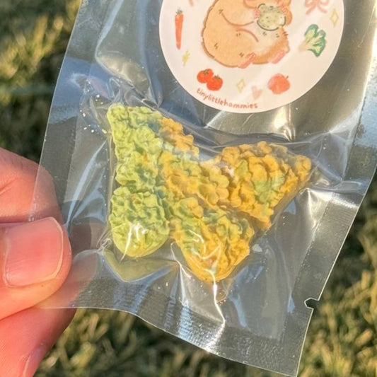 Butterfly Garden Cookie