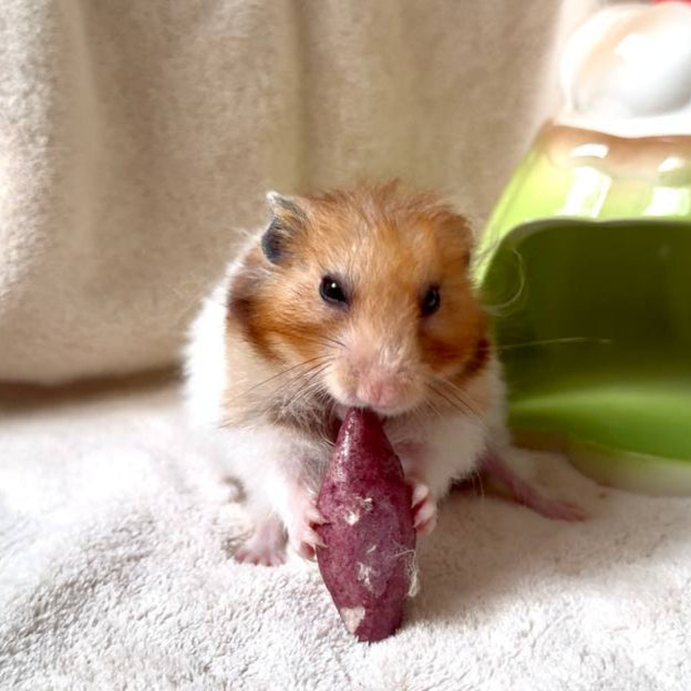 Baby Sweet Potato Crunchies