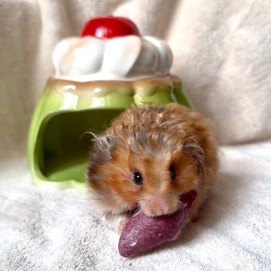 Baby Sweet Potato Crunchies