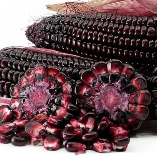 Glutinous Corn Slices