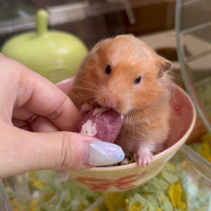Baby Sweet Potato Crunchies
