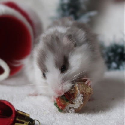 12-Day Christmas Advent Calendar 2025