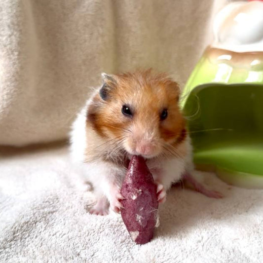Baby Sweet Potato Crunchies